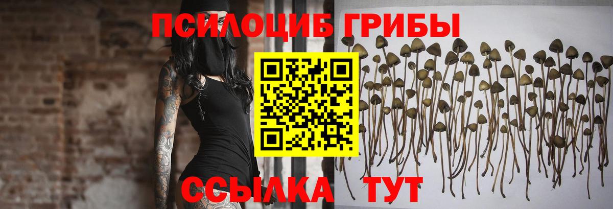 Галлюциногенные грибы мухоморы Кимры